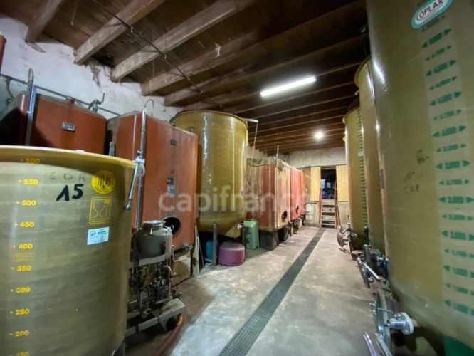 Photos 28 - Prestige - Dpt Gard (30), à vendre dans le Gard, propriété viticole en AOP Côtes du Rhône sur 25 hectares avec Château du XVème siècle