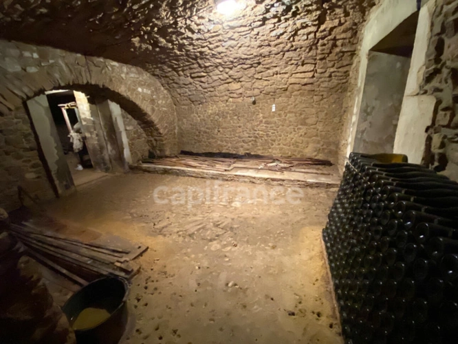 Photos 37 - Prestige - Dpt Gard (30), à vendre dans le Gard, propriété viticole en AOP Côtes du Rhône sur 25 hectares avec Château du XVème siècle