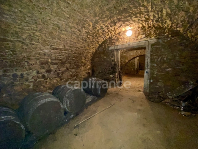 Photos 39 - Prestige - Dpt Gard (30), à vendre dans le Gard, propriété viticole en AOP Côtes du Rhône sur 25 hectares avec Château du XVème siècle