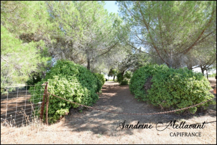 Photos 4 - Agricultural - Terrain à vendre  SAINT THIBERY (34)