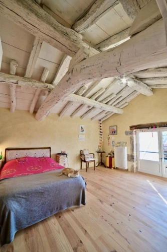 Photos 16 - Equestrian - Estate