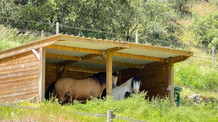 Photos 12 - Équestre - Propriété de caractère sur 10 hectares - Rénovation de qualité
