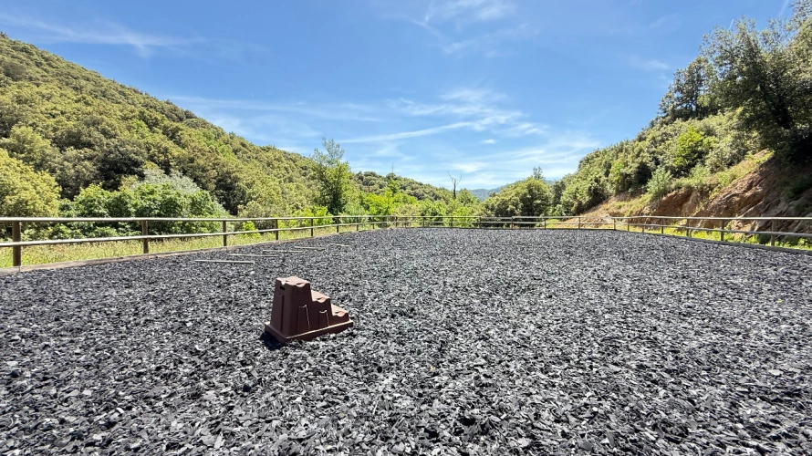 Photos 13 - Équestre - Propriété de caractère sur 10 hectares - Rénovation de qualité