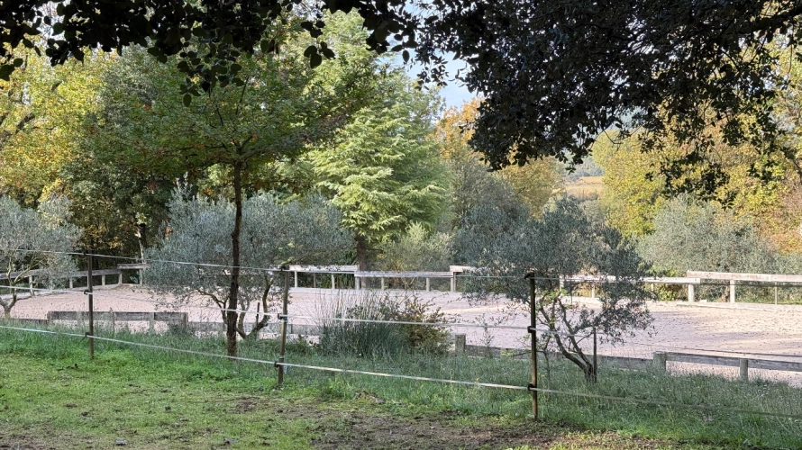 Photos 7 - Équestre - Coup de cœur assuré – Propriété équestre de charme à 30 minutes d’Aix-en-Provence