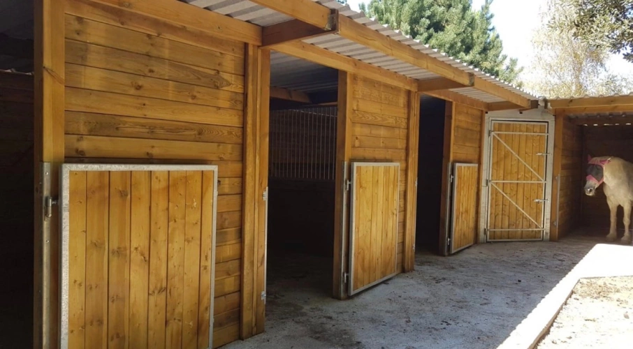 Photos 6 - Équestre - Belle bastide  provençale avec dépendances et boxes à chevaux