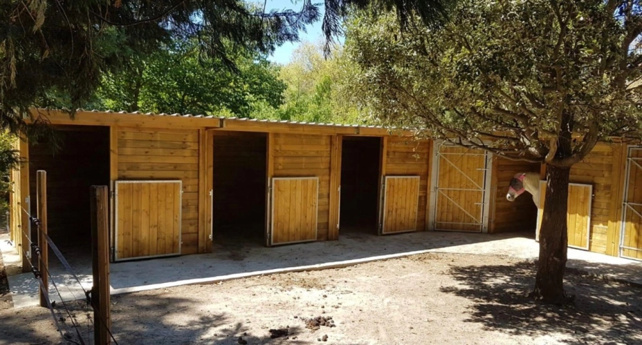Photos 7 - Équestre - Belle bastide  provençale avec dépendances et boxes à chevaux
