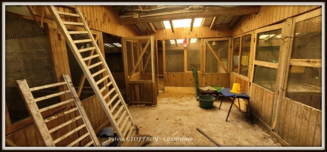 Photos 6 - Équestre - Colonie de vacances ou propriété équestre à vendre à PEXONNE (54)