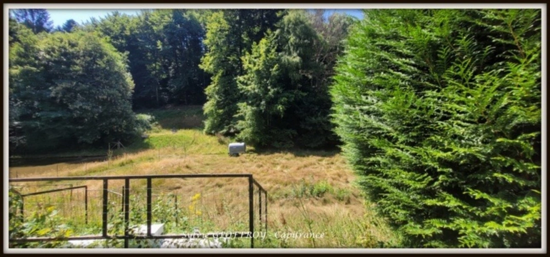 Photos 13 - Équestre - Colonie de vacances ou propriété équestre à vendre à PEXONNE (54)