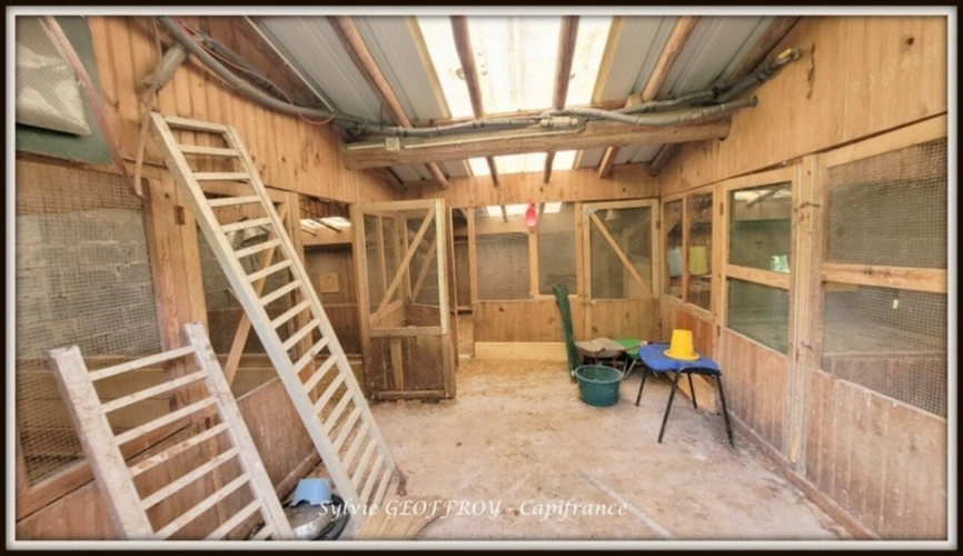 Photos 22 - Équestre - Colonie de vacances ou propriété équestre à vendre à PEXONNE (54)