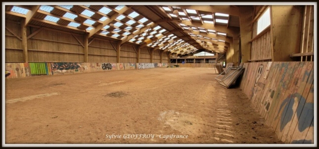 Photos 26 - Équestre - Colonie de vacances ou propriété équestre à vendre à PEXONNE (54)