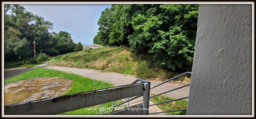 Photos 27 - Équestre - Colonie de vacances ou propriété équestre à vendre à PEXONNE (54)