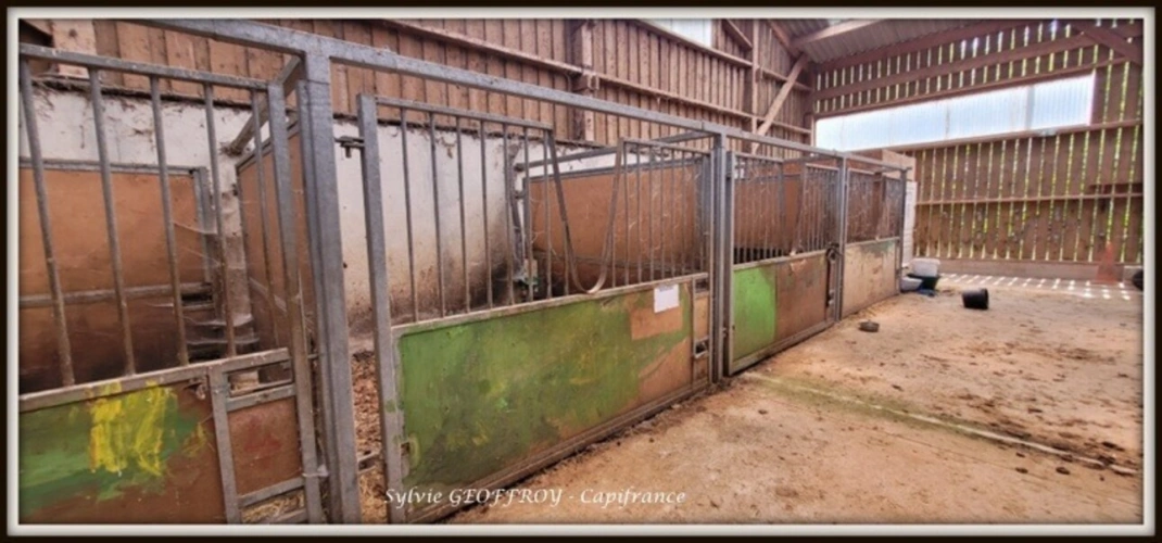 Photos 31 - Équestre - Colonie de vacances ou propriété équestre à vendre à PEXONNE (54)