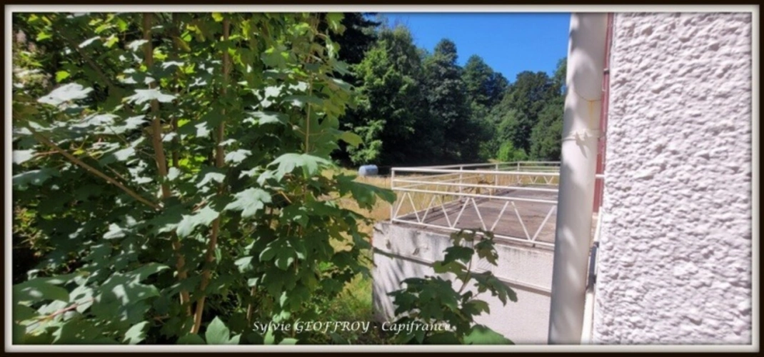 Photos 32 - Équestre - Colonie de vacances ou propriété équestre à vendre à PEXONNE (54)