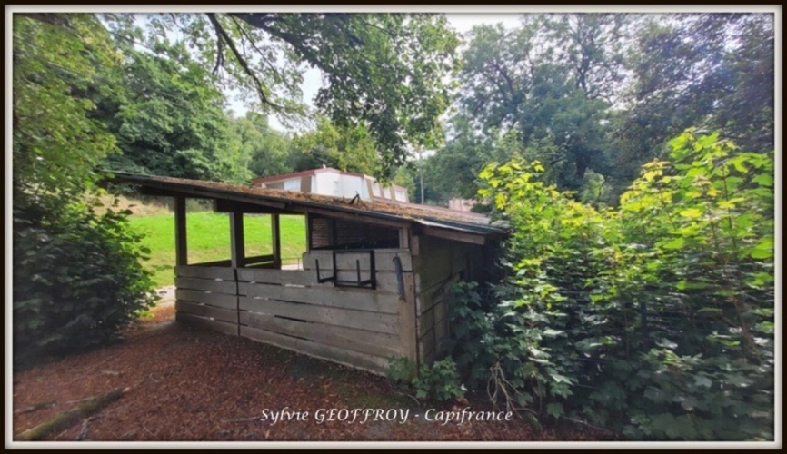 Photos 35 - Équestre - Colonie de vacances ou propriété équestre à vendre à PEXONNE (54)