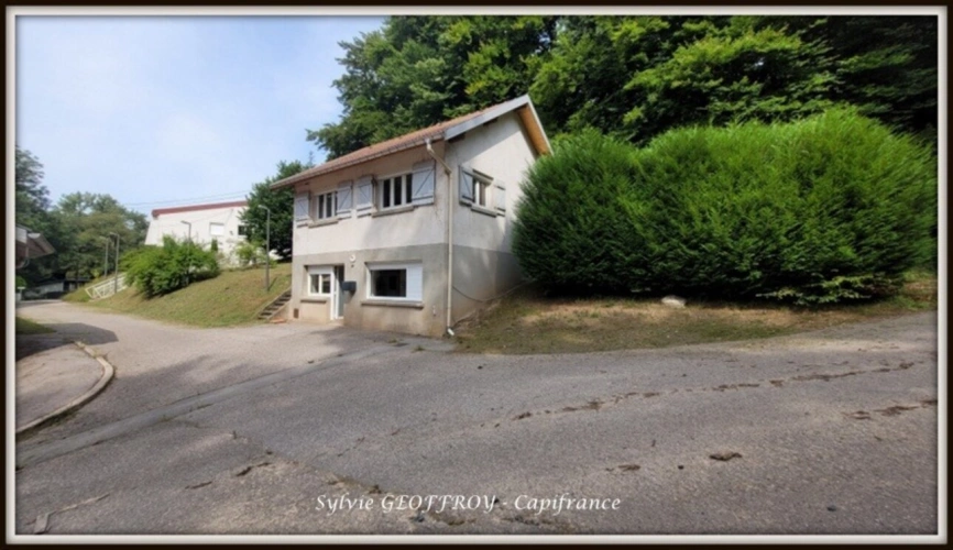 Photos 38 - Équestre - Colonie de vacances ou propriété équestre à vendre à PEXONNE (54)