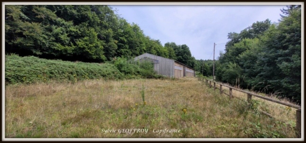 Photos 40 - Équestre - Colonie de vacances ou propriété équestre à vendre à PEXONNE (54)
