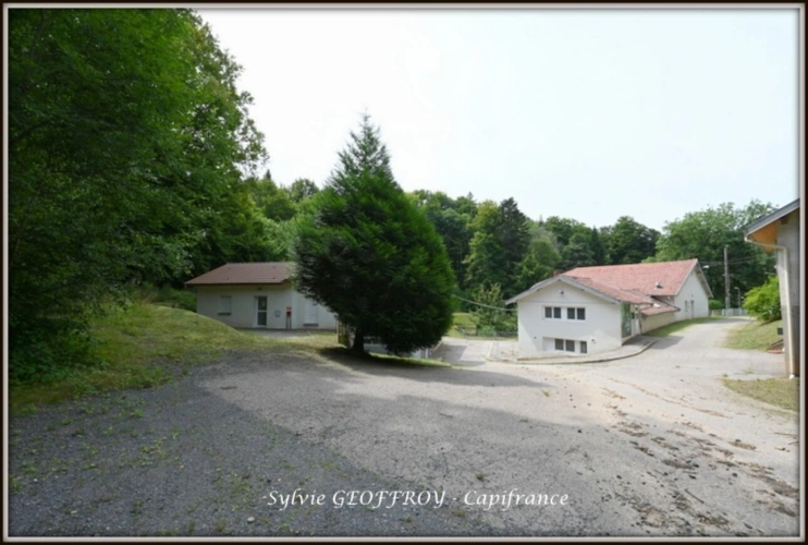 Photos 43 - Équestre - Colonie de vacances ou propriété équestre à vendre à PEXONNE (54)