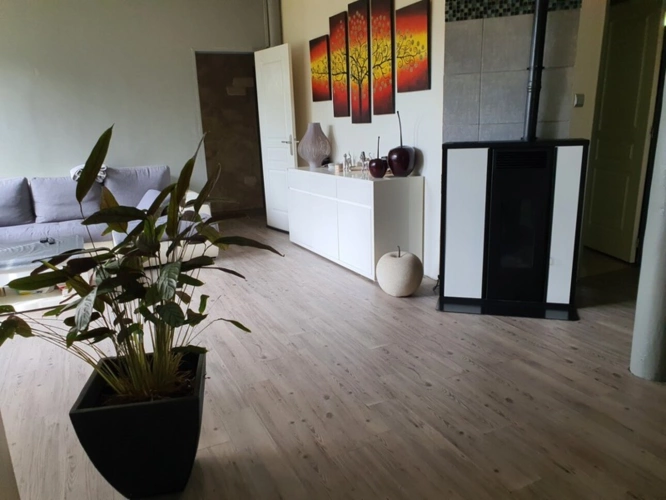 Photos 14 - Tourist - Vosges Department (88), for sale near REMIREMONT - SINGLE-STORY ESTATE ideal GROUP GITE with POND