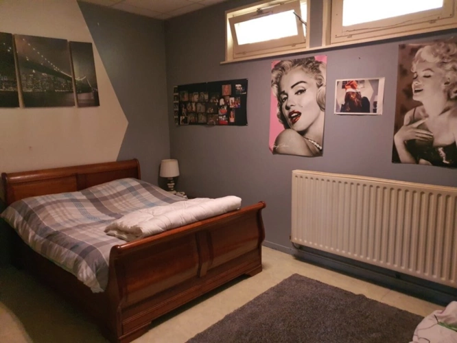 Photos 25 - Tourist - Vosges Department (88), for sale near REMIREMONT - SINGLE-STORY ESTATE ideal GROUP GITE with POND