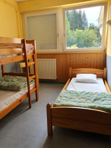 Photos 36 - Tourist - Vosges Department (88), for sale near REMIREMONT - SINGLE-STORY ESTATE ideal GROUP GITE with POND