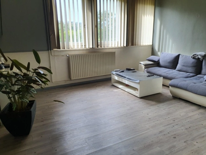 Photos 40 - Tourist - Vosges Department (88), for sale near REMIREMONT - SINGLE-STORY ESTATE ideal GROUP GITE with POND