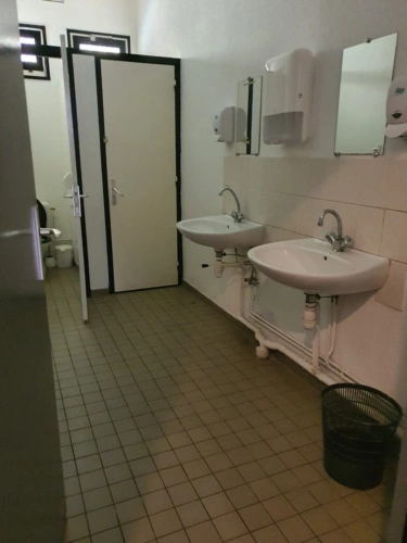 Photos 45 - Tourist - Vosges Department (88), for sale near REMIREMONT - SINGLE-STORY ESTATE ideal GROUP GITE with POND