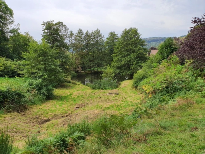 Photos 53 - Tourist - Vosges Department (88), for sale near REMIREMONT - SINGLE-STORY ESTATE ideal GROUP GITE with POND