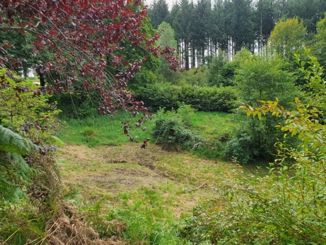 Photos 55 - Tourist - Vosges Department (88), for sale near REMIREMONT - SINGLE-STORY ESTATE ideal GROUP GITE with POND