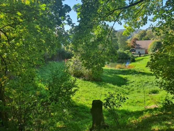 Photos 61 - Tourist - Vosges Department (88), for sale near REMIREMONT - SINGLE-STORY ESTATE ideal GROUP GITE with POND