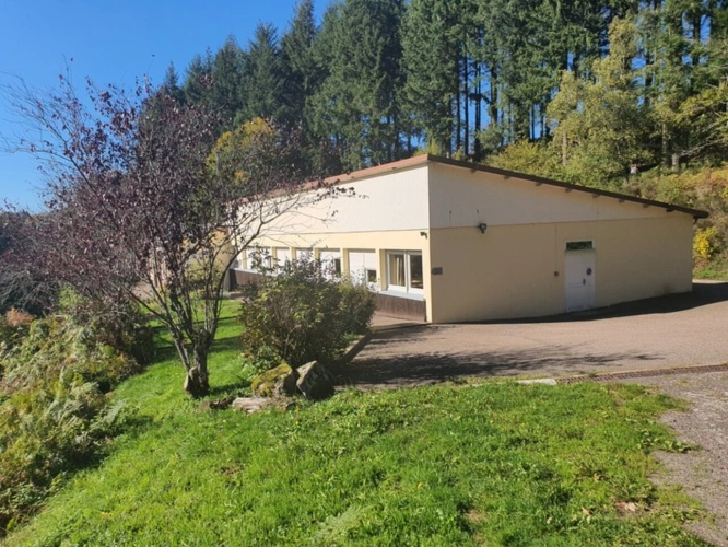 Photos 62 - Tourist - Vosges Department (88), for sale near REMIREMONT - SINGLE-STORY ESTATE ideal GROUP GITE with POND