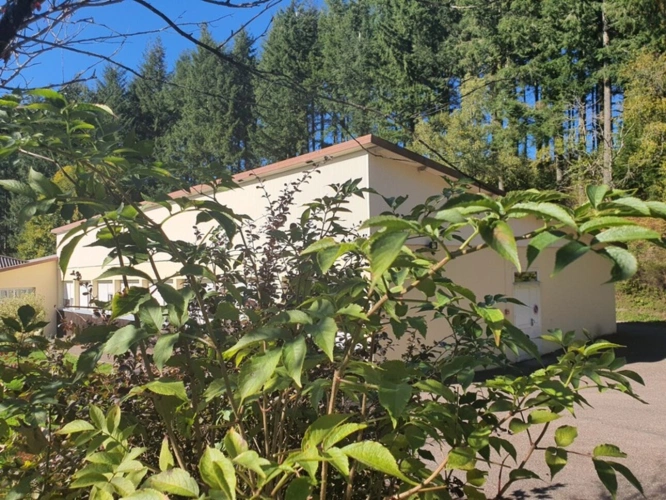 Photos 63 - Tourist - Vosges Department (88), for sale near REMIREMONT - SINGLE-STORY ESTATE ideal GROUP GITE with POND