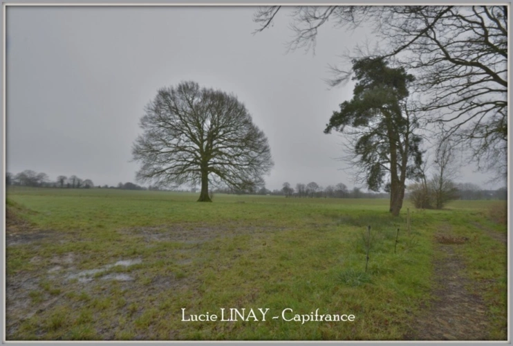 Photos 13 - Rurale - Corps de ferme + 5 ha