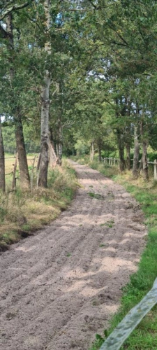 Photos 5 - Equestrian - LA FLECHE Propriété équestre avec gîtes