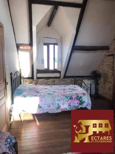 Photos 4 - Équestre - Propriété équestre, 5 hectares, dépendances et habitation 180 m2