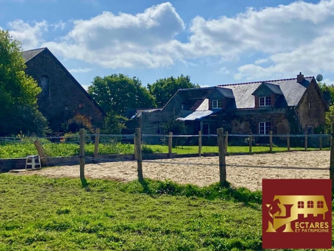 Photos 1 - Équestre - propriété équestre, 5 hectares, carrière, étang et dépendance de 500 m2