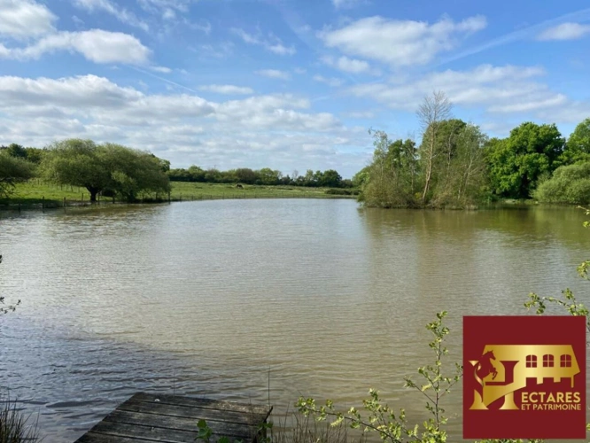 Photos 2 - Équestre - propriété équestre, 5 hectares, carrière, étang et dépendance de 500 m2