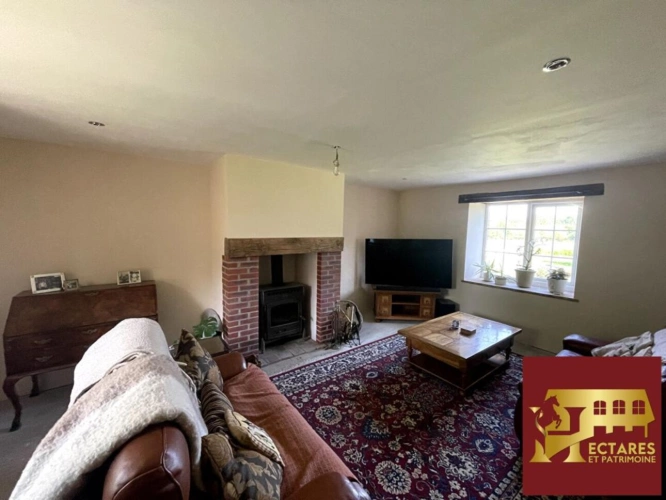 Photos 3 - Équestre - propriété équestre, 5 hectares, carrière, étang et dépendance de 500 m2