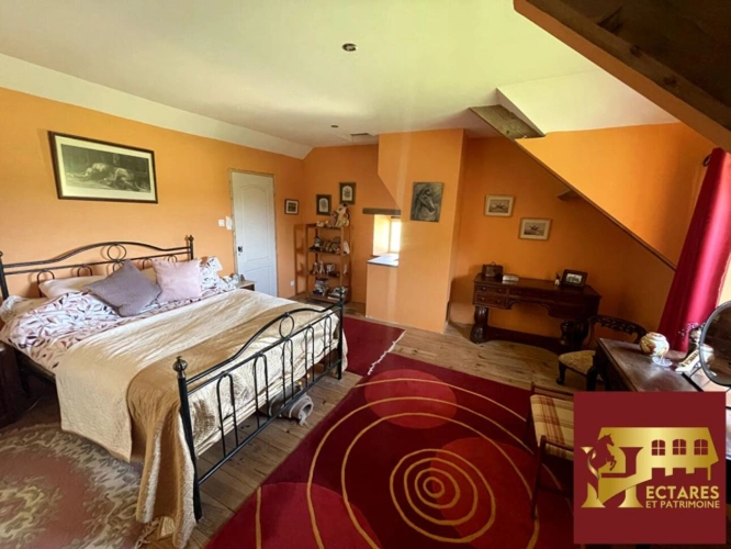 Photos 6 - Équestre - propriété équestre, 5 hectares, carrière, étang et dépendance de 500 m2