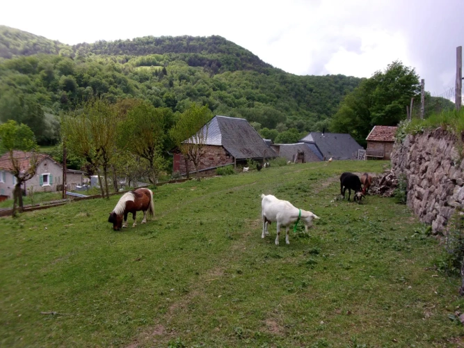 Photos 4 - Touristique - Vend ancien corps de ferme réhabilité en maison d'hôtes