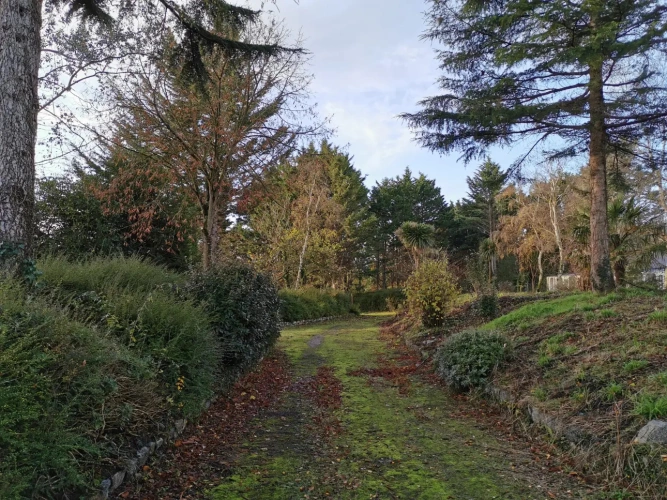 Photos 7 - Prestige - Ensemble en pierres de 850 m² environ proche mer