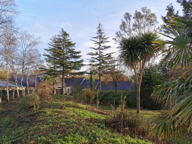 Photos 8 - Prestige - Ensemble en pierres de 850 m² environ proche mer