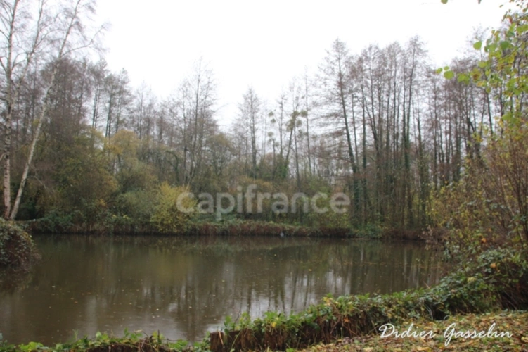 Photos 3 - Forestière - Terrain à vendre  GREEZ SUR ROC (72)