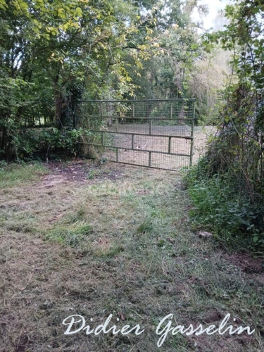 Photos 5 - Forestière - Terrain à vendre  GREEZ SUR ROC (72)