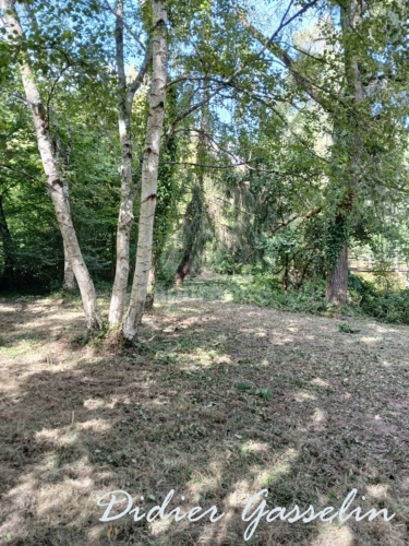 Photos 8 - Forestière - Terrain à vendre  GREEZ SUR ROC (72)