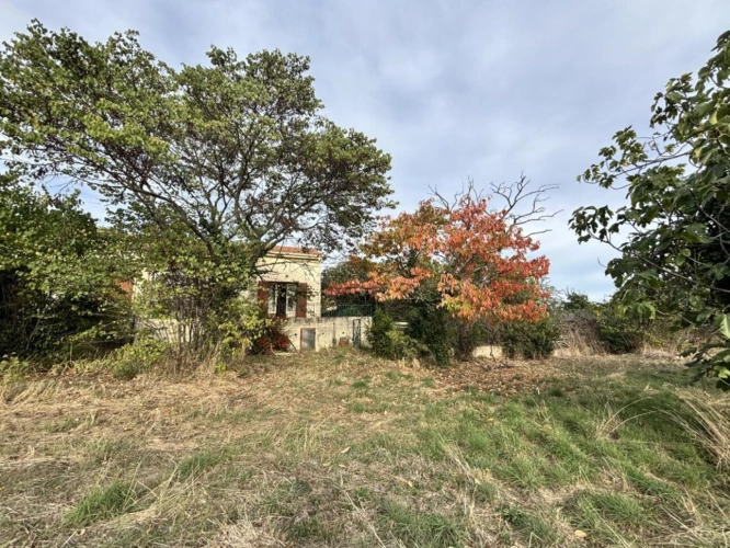 Photos 2 - Rural - Vineyard