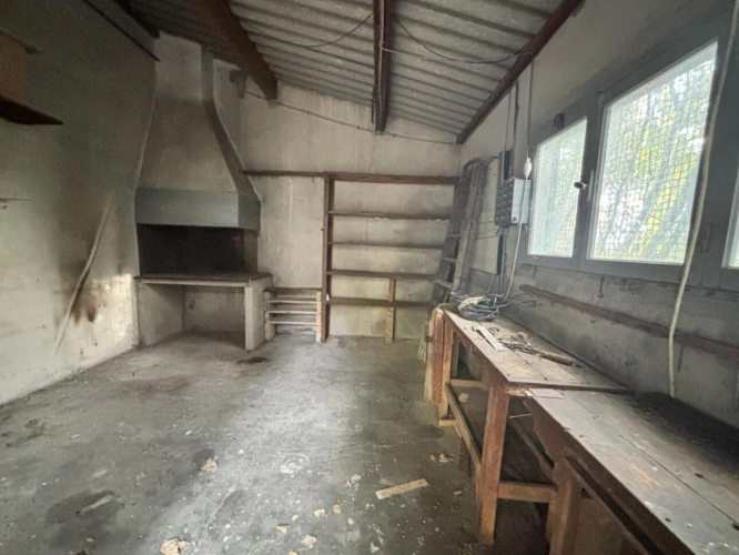 Photos 9 - Rural - Vineyard