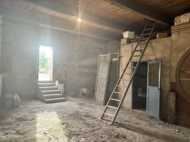 Photos 14 - Rural - Vineyard