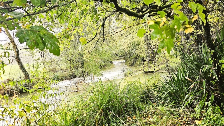 Photos 15 - Prestige - Maison