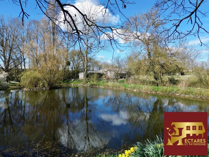 Photos 4 - Equestrian - Propriété équestre, 10 hectares, 2 maisons