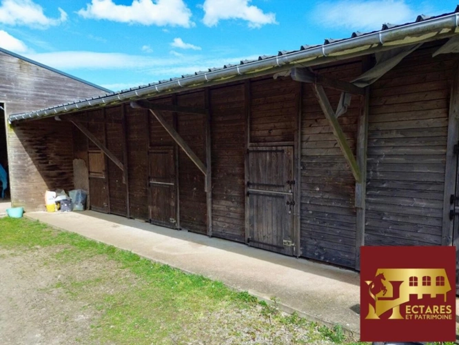 Photos 6 - Equestrian - Propriété équestre, 10 hectares, 2 maisons